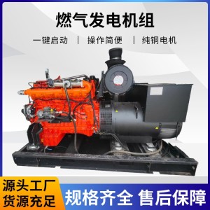 燃气发电机组 低噪音大功率全铜无刷电机沼气天燃气发电机组批发 1个