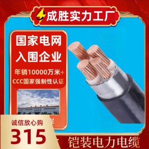 ZCYJV22铠装电力电缆 国标厂家铜芯16/25/35平方地埋户外工 程电缆 1米