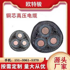 YJV22铜芯电力电缆厂家直供防火阻燃电缆2/3/4/5芯户外工程电缆线 1米