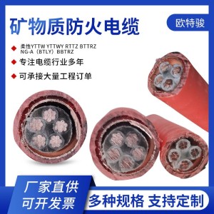 矿物质电缆 防火凯装铜YTTW/NG-ABTLY/BBTRZ/BTLY 柔性电缆线 1米