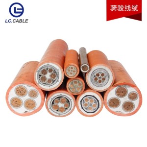 矿物质防火电缆线bttz矿物电缆铜芯工业生产厂家高压阻燃耐火 10米