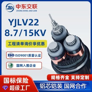 YJLV22国标铝芯电缆3芯*120/150/185/240/300/400平方高压电线 1米