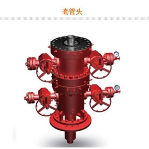 API6A井口装置及采油树 1套