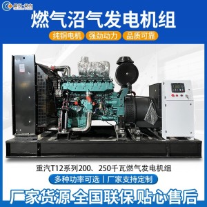 大型燃气发电机组200kw500kw1000kw天然气沼气油田养殖场大功率 1个