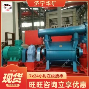 ZWY210/250-G瓦斯抽放泵 断电保护装置 过滤除渣瓦斯抽放泵 30台