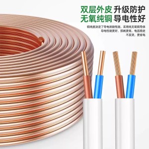 德力西电线电缆2芯三芯国标纯铜2芯1.5平方毫米100m