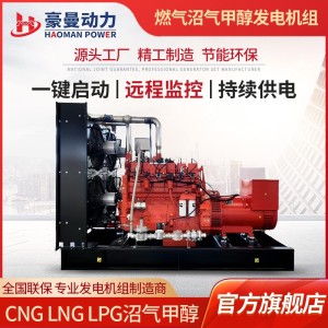 300KW天燃气发电机组三相电380V50HZ养殖场用300千瓦沼气发电机组 1台