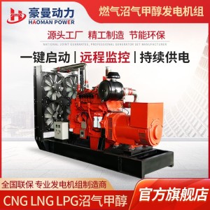 养殖场用500KW沼气发电机组50HZ380V三相电500千瓦天然气发电机组 1台