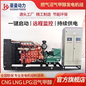 200KW燃气发电机组250KVA甲醇发电机组养殖场用200千瓦沼气发电机 1台