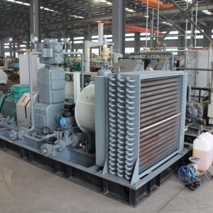 ZWF-0.55/(13-14)-40伴生气压缩机 标准站 天然气压缩机组 1台