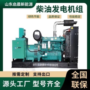 潍柴柴油发电机组200kw 三相全铜无刷发电机 专业厂家 质量保证 1台