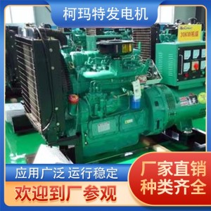 30KW柴油发电机 小型家用 应急备用电源 型号可选择 房地产用 1台