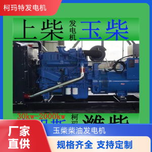 玉柴柴油发电机 200kW 适配性强 铸铁机体 数据中心必备款 1台