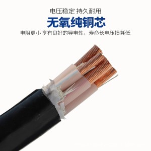 国标铜芯铠装电缆ZC-YJV222/3/4/5芯6/10/16/25/35-300平方铜线 5米