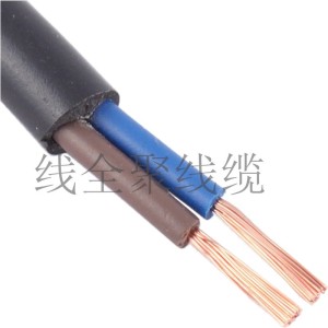 供应RVV电线2芯0.5平方 电子线 安防控制线 多股铜芯电缆 1卷