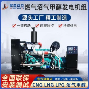 200KW沼气发电机组油田钻井用250KVA甲醇发电机200千瓦燃气发电机 1台