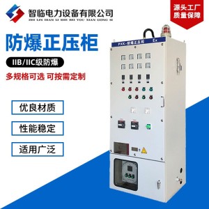 防爆正压柜配电箱控制柜触摸屏变频柜动力不锈钢配电柜通风型 8台