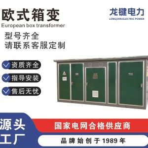 厂家直销160kva欧式箱式变电站 箱变变压器 电力设备 1套