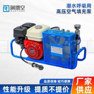 润增空高压潜水呼吸气瓶空压机充填气泵20-30Mpa压缩机打气泵 1件