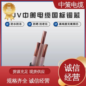 中策品牌家装工装电缆电线 多规格可选 足方足米 15米