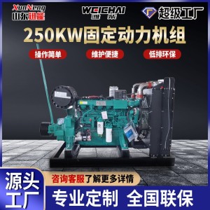 潍柴250KW固定动力发电机组工地学校备用电源柴油发电机组 1台