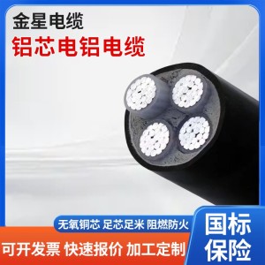 国标铝芯电铝电缆三相四线动力电缆架空电线3*25+1*16平方电缆线 10米