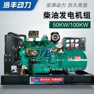 潍坊系列50kw柴油发电机组 大型养殖场备用电源100千瓦 无刷自动化 1台