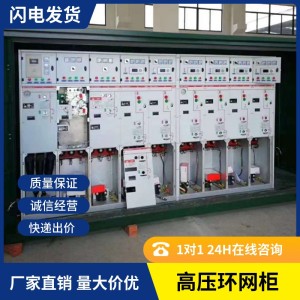 XGN15-12配电柜 高压环网柜 户外高压分支箱 计量箱srm16-12 1个