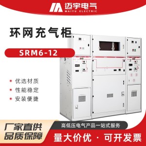 SRM6-12环网充气柜 10KV高压全绝缘充气柜六氟化硫开关环网柜 3台