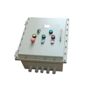 防爆动力配电箱 成套不锈钢电源仪表照明控制箱 动力电气仪表箱 1个