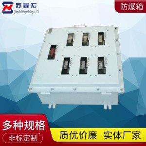 照明动力电源仪表配电箱 成套不锈钢电源仪表照明控制箱 1个