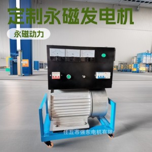 永磁动能发电机磁动力发电磁动能发电磁力发电永磁能发电机 5套